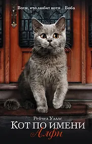 Купить Кот по имени Алфи — Фото №1
