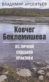 Купить Ковчег Беклемишева. Из личной судебной практики — Фото №1