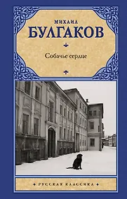 Купить Собачье сердце — Фото №1