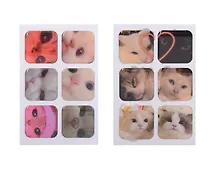 Купить Набор 3D стикеры Котики-3 (6шт) (упаковка)+3D стикеры Котики-2 (6шт) (упаковка) — Фото №1
