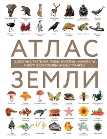 Купить Атлас Земли. Животные, растения, грибы, бактерии, минералы и другие сокровища нашей планеты — Фото №1