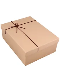 Купить Коробка подарочная "Крафт" 23*30*11 картон — Фото №1