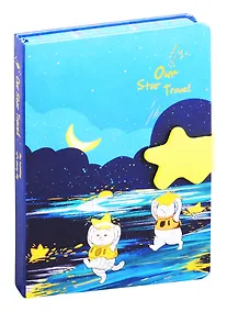 Купить Блокнот с фигурной магнитной застежкой-звездочкой Кот со звездой (256стр) (13х19) — Фото №1