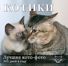 Купить Котики. Лучшие кото-фото. 365 дней в году — Фото №1