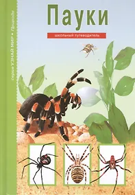 Купить Пауки. — Фото №1