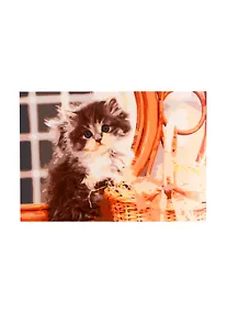 Купить Набор ТМ Рыжий Кот Раскраска на картоне A3 Котёнок у корзины (Арт. Р-2280) — Фото №1