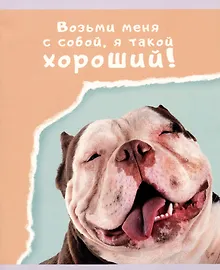 Купить Тетрадь в линейку Listoff, "Веселые собаки", 48 листов, в ассортименте — Фото №1