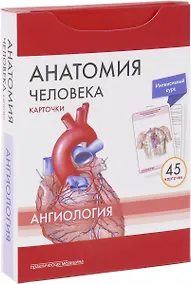Купить Анатомия человека Ангиология (45 карт.) (упаковка) Сапин — Фото №1