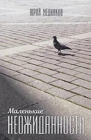 Купить Маленькие неожиданности: рассказы — Фото №1