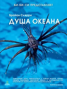 Купить Душа океана — Фото №1