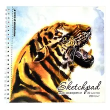 Купить Скетчбук 195*195 20л "Тигр" акварельная, 200г/м2, обложка картон, гребень — Фото №1