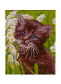 Купить Алмазная мозаика ТМ Рыжий Кот 22х32см с подрамником с полным заполнением (класс.) (16 цв.) КОТЁНОК В ПОЛЕ РОМАШЕК (Арт. AC22087) — Фото №1