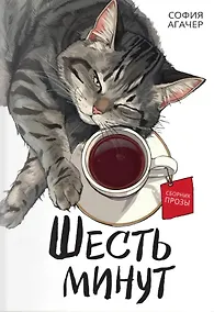 Купить Шесть минут — Фото №1
