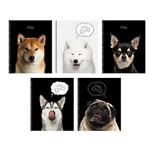 Купить Тетрадь общая «Selfie dog» в ассортименте, 48 листов в клетку, A5 - Listoff — Фото №1