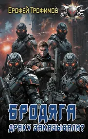 Купить Бродяга. Драку заказывали? — Фото №1