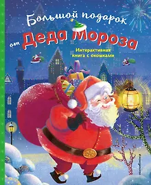 Купить Большой подарок от Деда Мороза — Фото №1