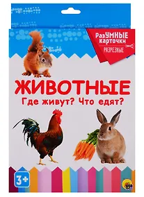 Купить Животные. Где живут? Что едят? 20 карточек — Фото №1