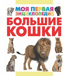 Купить Большие кошки — Фото №1