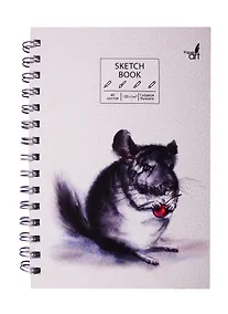 Купить Скетчбук А5 60л "SKETCHBOOK. Шиншилла", 120г/м2, софт. тач, евроспираль — Фото №1