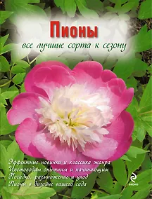 Купить Пионы (Вырубка. Цветы в саду и на окне) — Фото №1