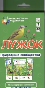 Купить Лужок. Природные сообщества — Фото №1