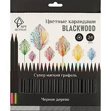 Купить Карандаши цветные Арт Формат, Blackwood, 24 цвета — Фото №1