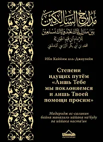 Купить Мадаридж. Степени идущих — Фото №1