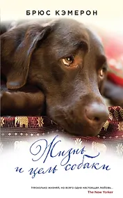 Купить Жизнь и цель собаки — Фото №1