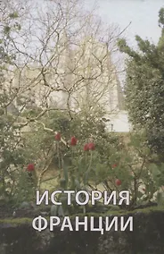 Купить История Франции (Андреев) — Фото №1