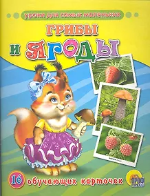 Купить Грибы и ягоды: 16 обучающих карточек — Фото №1