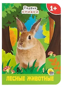 Купить ЦК МИНИ. ЛЕСНЫЕ ЖИВОТНЫЕ — Фото №1