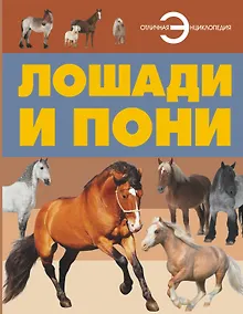 Купить Лошади и пони — Фото №1