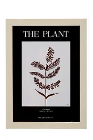 Купить Фоторамка 13*18 "Растение" молочное дерево — Фото №1