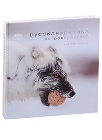 Купить Русская Арктика.Остров Врангеля — Фото №1
