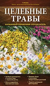 Купить Целебные травы. Карманный справочник-определитель — Фото №1