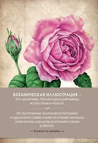 Купить Блокнот. Ботаническая иллюстрация (розовый) — Фото №1
