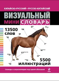 Купить Китайско-русский русско-китайский визуальный мини-словарь — Фото №1