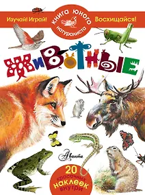 Купить Животные — Фото №1