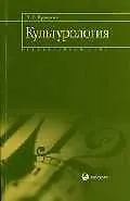 Купить Культурология: Элементарный курс — Фото №1