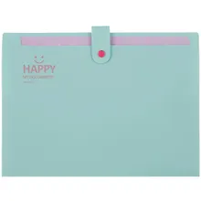 Купить Папка на кнопке А4 12отд., ассорти — Фото №1