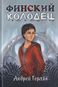 Купить Финский колодец. Повесть — Фото №1
