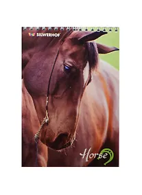 Купить Блокнот А5 48л кл. "ЛОШАДИ" карт.обл., на гребне, лак сплошной, ассорти, Silwerhof — Фото №1