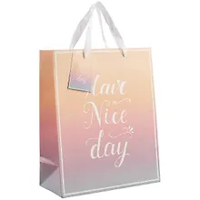 Купить Пакет А4 32*26*12 Have A Nice Day нейтр., бум.мат.ламинат — Фото №1