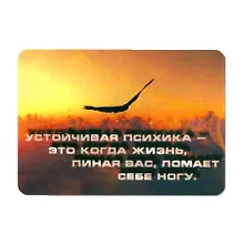 Купить Сувенир МАГНИТИК Магнит 9,5*6,5см "Афоризмы":"Устойчивая психика - это когда жизнь..." — Фото №1