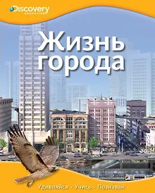 Купить Жизнь города — Фото №1