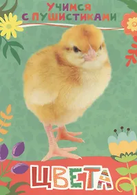 Купить Цвета — Фото №1