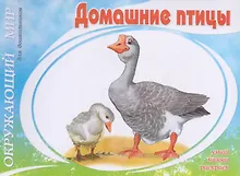 Купить Домашние птицы — Фото №1