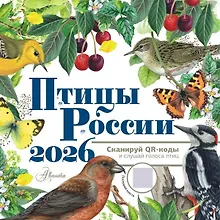 Купить Календарь 2026г 290*290 "Птицы России с голосами" настенный, на скрепке — Фото №1