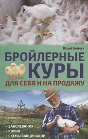 Купить Бройлерные куры. Для себя и на продажу — Фото №1