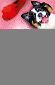 Купить Джинн из консервной банки — Фото №1